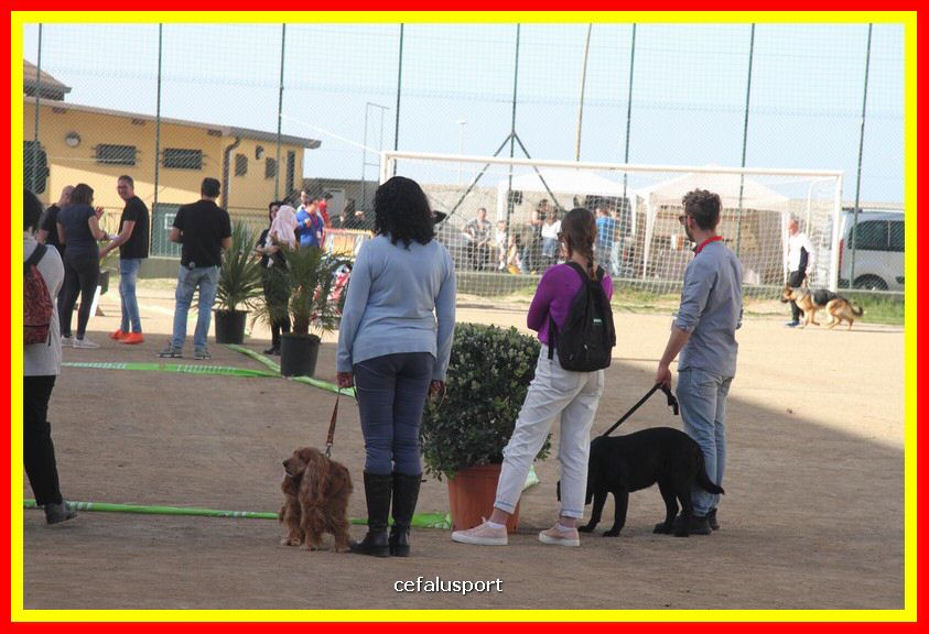 180311 mostra_canina 051.jpg